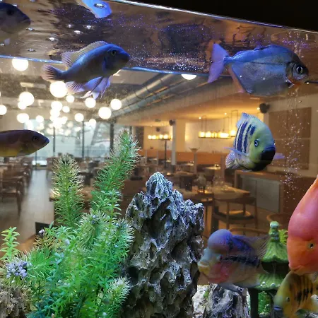 Cite Imperiale Ye فندق