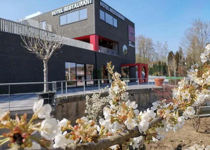 Cite Imperiale Ye Mettet